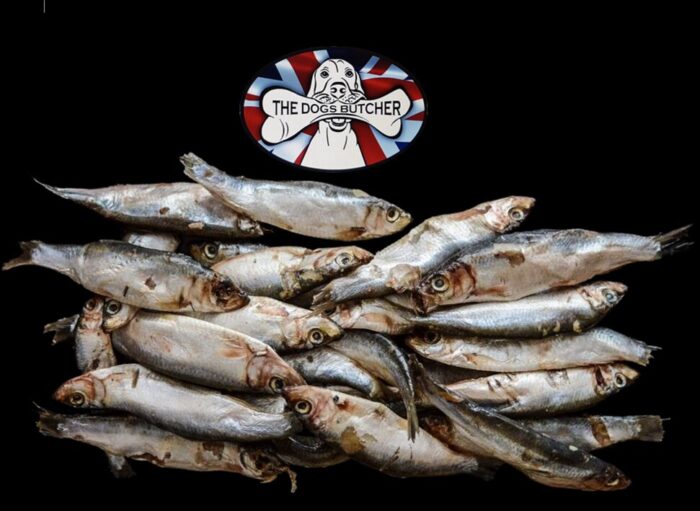 The Dogs Butcher Sprats