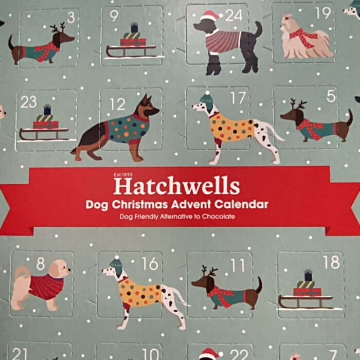 Hatchwells Dog Advent Calendar