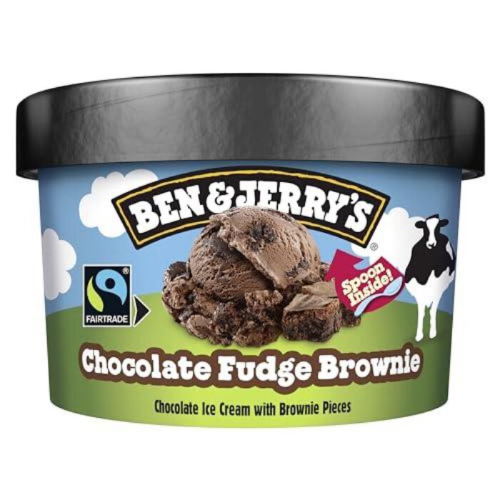 Ben & Jerry's Chocolate Fudge Brownie Ice Cream 100ml