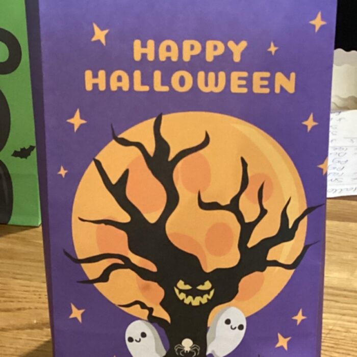 Halloween Dog treat bag